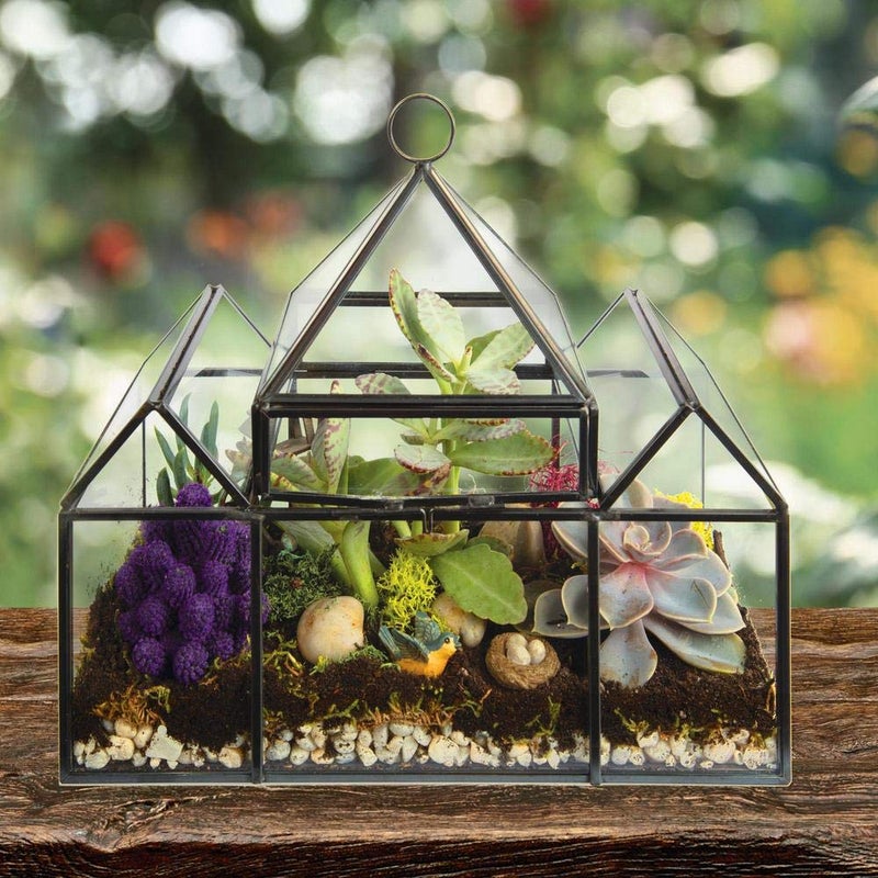DECO D'Eco Glass Castle Plant Terrarium (10x4.5x9) - Tabletop & Hanging Black Geometric Planter - Succulents, Air Plants, Moss - Summer Home, Garden Office & Wedding Botanical Decor - Gift for Plant Lovers - Image 5